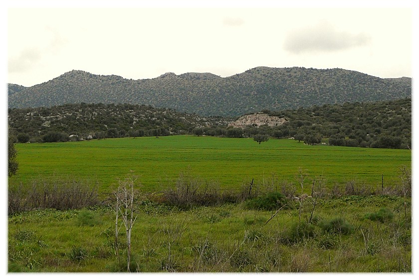 Le Steppe del Gargano